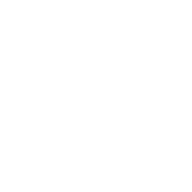 lg_white